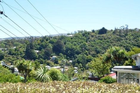 Photo of property in 37 Frame Street, North East Valley, Dunedin, 9010