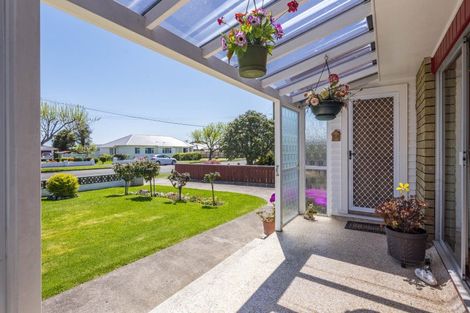 Photo of property in 18 Princes Street, Levin, 5510