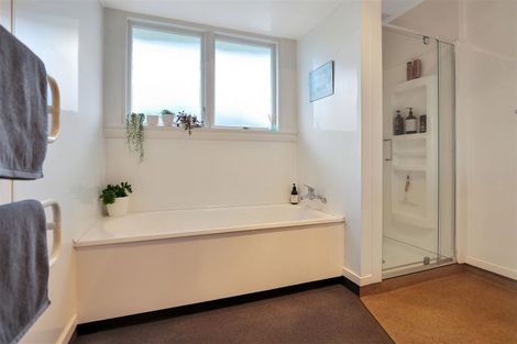 Photo of property in 85 Trevors Road, Hampstead, Ashburton, 7700