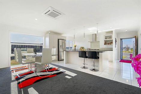 Photo of property in 47 Probert Crescent, Chartwell, Hamilton, 3210