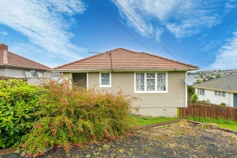 Photo of property in 98 Panmure Avenue, Calton Hill, Dunedin, 9012