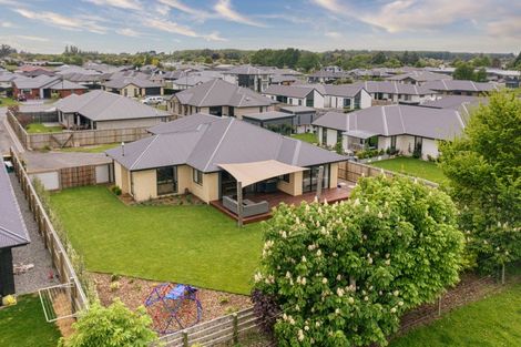 Photo of property in 29 Roxburgh Place, Tinwald, Ashburton, 7700