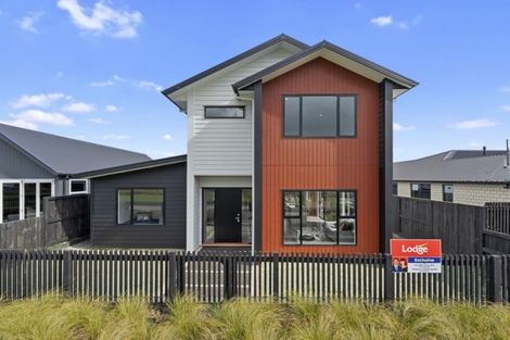 Photo of property in 14 Wyrall Way, Chartwell, Hamilton, 3210