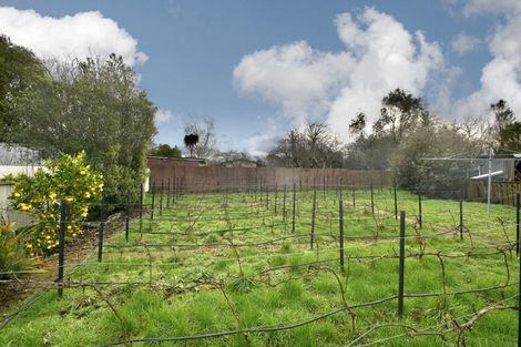 Photo of property in 166 Colombo Road, Masterton, 5810