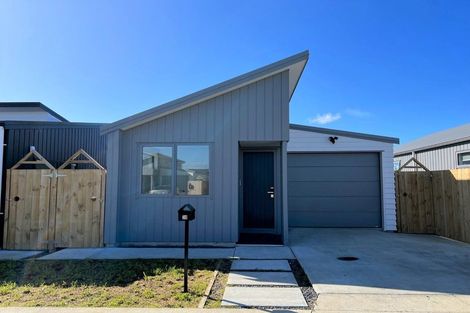 Photo of property in 30 Clayden Shuttleworth Street, Papakura, 2110
