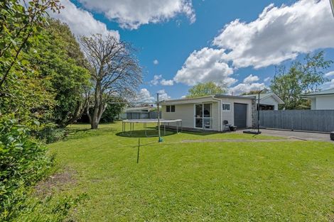 Photo of property in 36 Kettle Avenue, Awapuni, Palmerston North, 4412