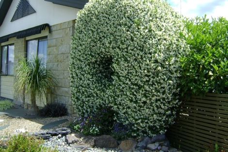 Photo of property in 19 Halyard Close, Flagstaff, Hamilton, 3210