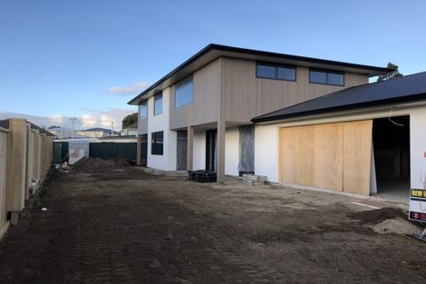 Photo of property in 21b Ropiha Street, Fitzroy, New Plymouth, 4312