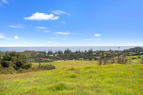 Photo of property in 125 Rehutai Road, Baylys Beach, Dargaville, 0377