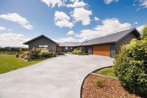Photo of property in 407 Taonui Road, Aorangi, Feilding, 4775