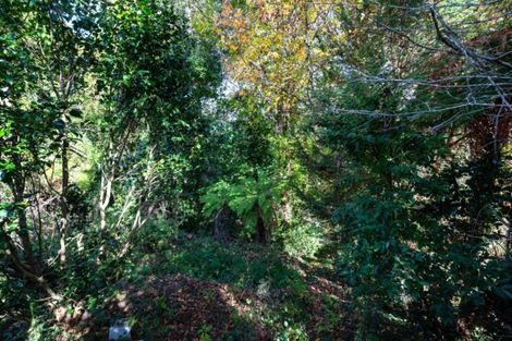 Photo of property in 48 Pandora Avenue, Sunnybrook, Rotorua, 3015