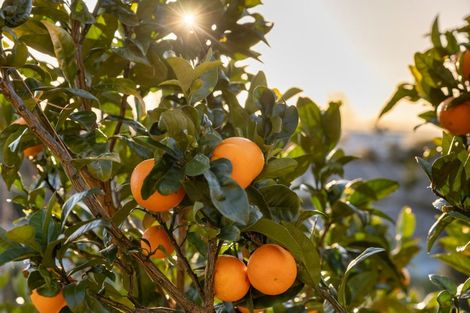 Photo of property in 5 Flight Valley Way, Welcome Bay, Tauranga, 3175