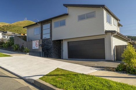 Photo of property in 165 Amesbury Drive, Churton Park, Wellington, 6037
