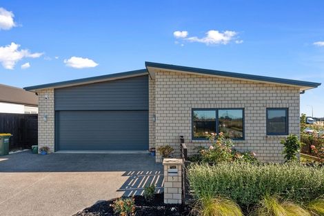 Photo of property in 5 Lissaman Place, Chartwell, Hamilton, 3210