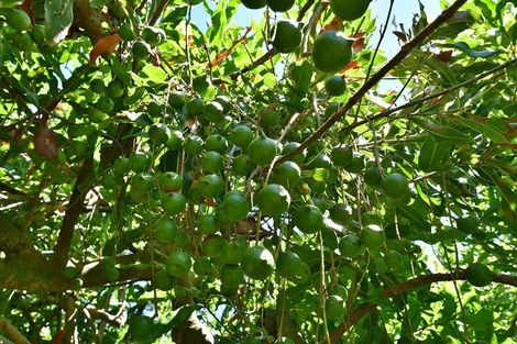 Photo of property in 940 South Head Road, South Head, Helensville, 0874