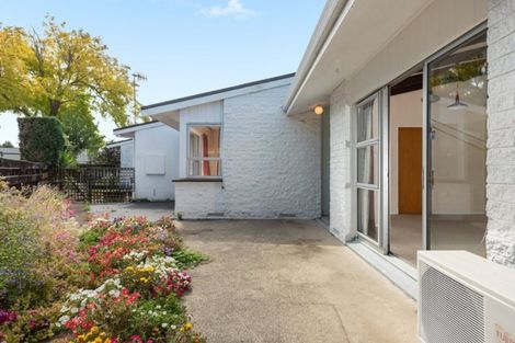 Photo of property in 2/178 Eleventh Avenue, Tauranga, 3110