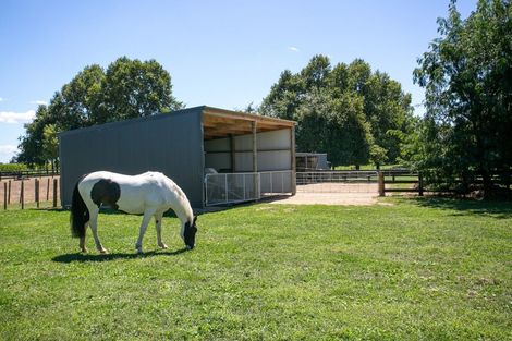 Photo of property in 362c Pickering Road, Tamahere, Hamilton, 3283