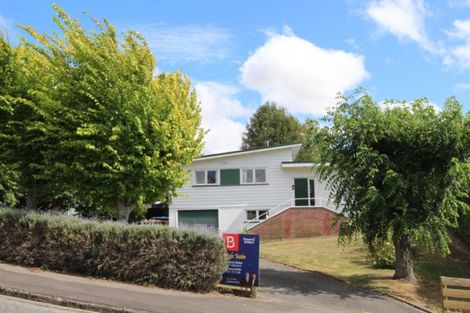 Photo of property in 60 Wakeman Street, Pahiatua, 4910