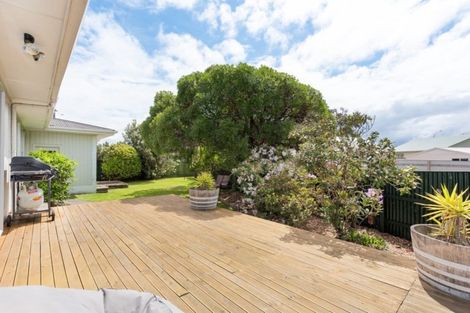 Photo of property in 1 Litchfield Street, Redwoodtown, Blenheim, 7201