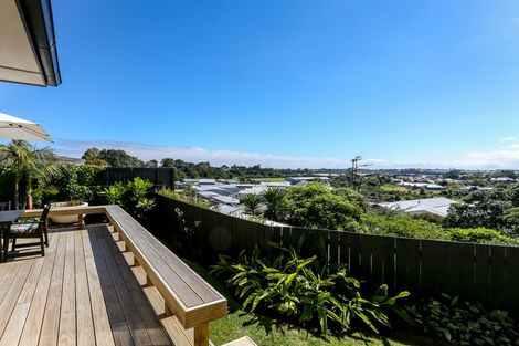 Photo of property in 81 Paynters Avenue, Strandon, New Plymouth, 4312