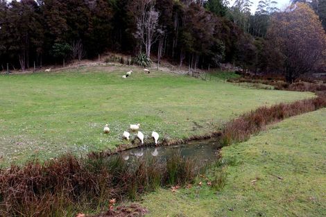 Photo of property in 26 Briggs Road, Onamalutu, Wairau Valley, 7275