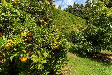 Photo of property in 69 Francis Road, Whakamarama, Tauranga, 3172