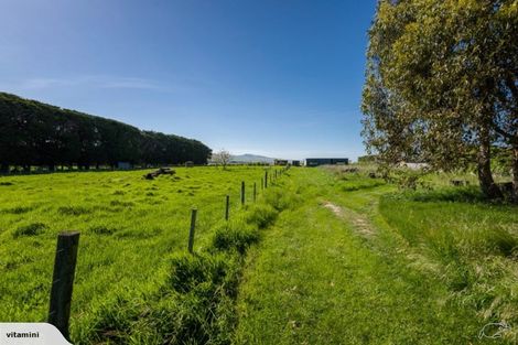 Photo of property in 247 Seabridge Road, Motukarara, Christchurch, 7672