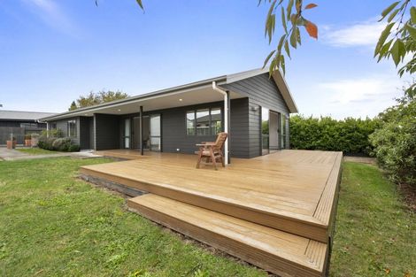 Photo of property in 11 Wescombe Grove, Feilding, 4702
