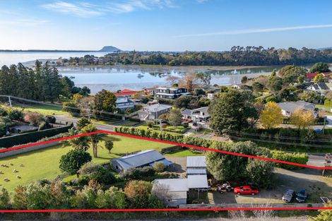 Photo of property in 249 Plummers Point Road, Whakamarama, Tauranga, 3172