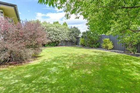 Photo of property in 818 Clive Street, Akina, Hastings, 4122