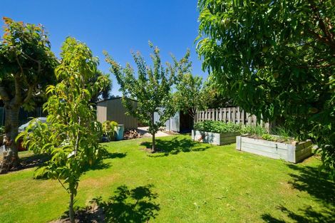 Photo of property in 297 Scarborough Street, Kaikoura, 7300