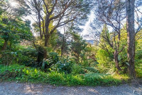 Photo of property in 19 Hayes Road, Henderson Valley, Auckland, 0612