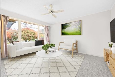 Photo of property in 26 Greta Street, Glenview, Hamilton, 3206