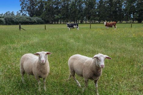 Photo of property in 323b Hallett Road, Otakiri, Whakatane, 3192