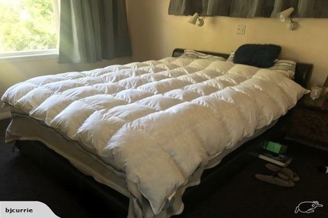 Photo of property in 24 Kent Crescent, Awapuni, Palmerston North, 4412