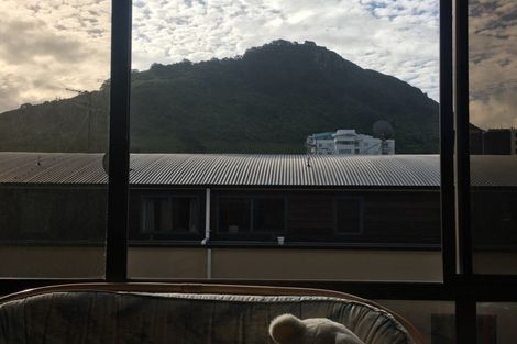 Photo of property in 40m Maunganui Road, Mount Maunganui, 3116