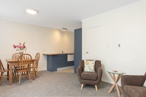 Photo of property in 8d Heath Street, Mount Maunganui, 3116