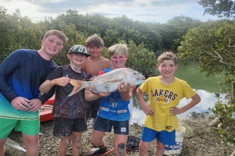 Photo of property in 106 Wright Road, Dairy Flat, Albany, 0794