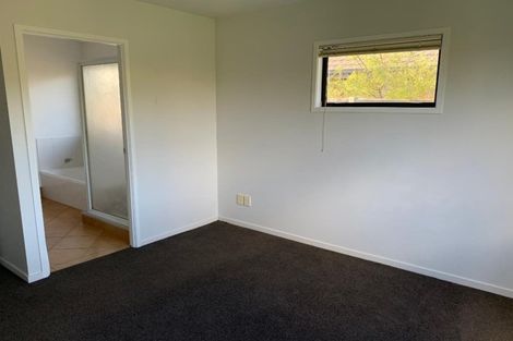 Photo of property in 81 Solomon Street, Brookfield, Tauranga, 3110