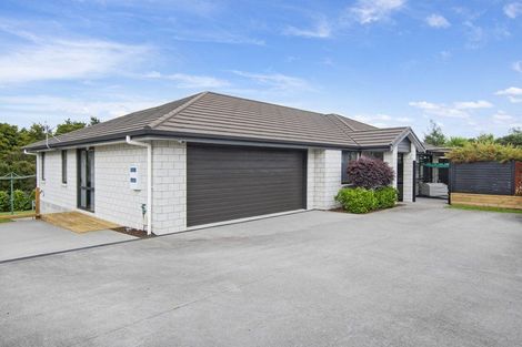 Photo of property in 4 Rolling Stone Rise, Tikipunga, Whangarei, 0112