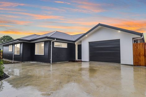 Photo of property in 5a Chelwood Street, Takaro, Palmerston North, 4412