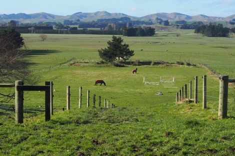 Photo of property in 319 Porangahau Road, Waipukurau, 4282