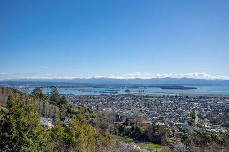 Photo of property in 25 Citrus Lane, Enner Glynn, Nelson, 7011