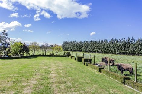 Photo of property in 72 Mount Thomas Road, Fernside, Rangiora, 7471
