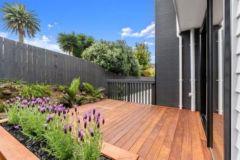 Photo of property in 56b Ellerton Road, Mount Eden, Auckland, 1024