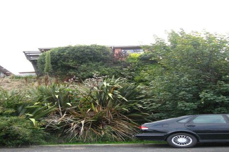Photo of property in 106 Sidey Street, Calton Hill, Dunedin, 9012