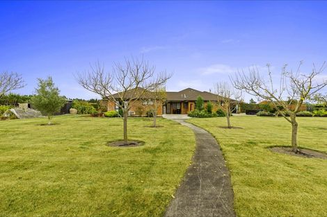 Photo of property in 20 Cullen Avenue, Swannanoa, Rangiora, 7475