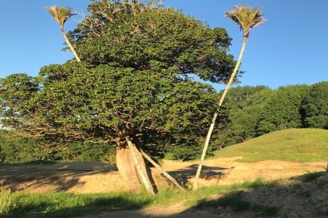 Photo of property in 89 Waere Valley Lane, Warkworth, 0981