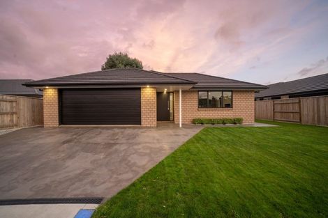 Photo of property in 27 Monarch Drive, Ashhurst, 4810