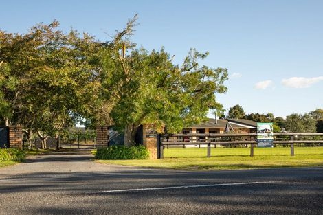 Photo of property in 161 Hautapu Road, Pukemoremore, Cambridge, 3493